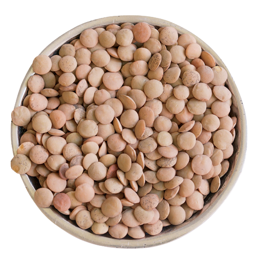 Split Brown Lentils (Masoor Dal)